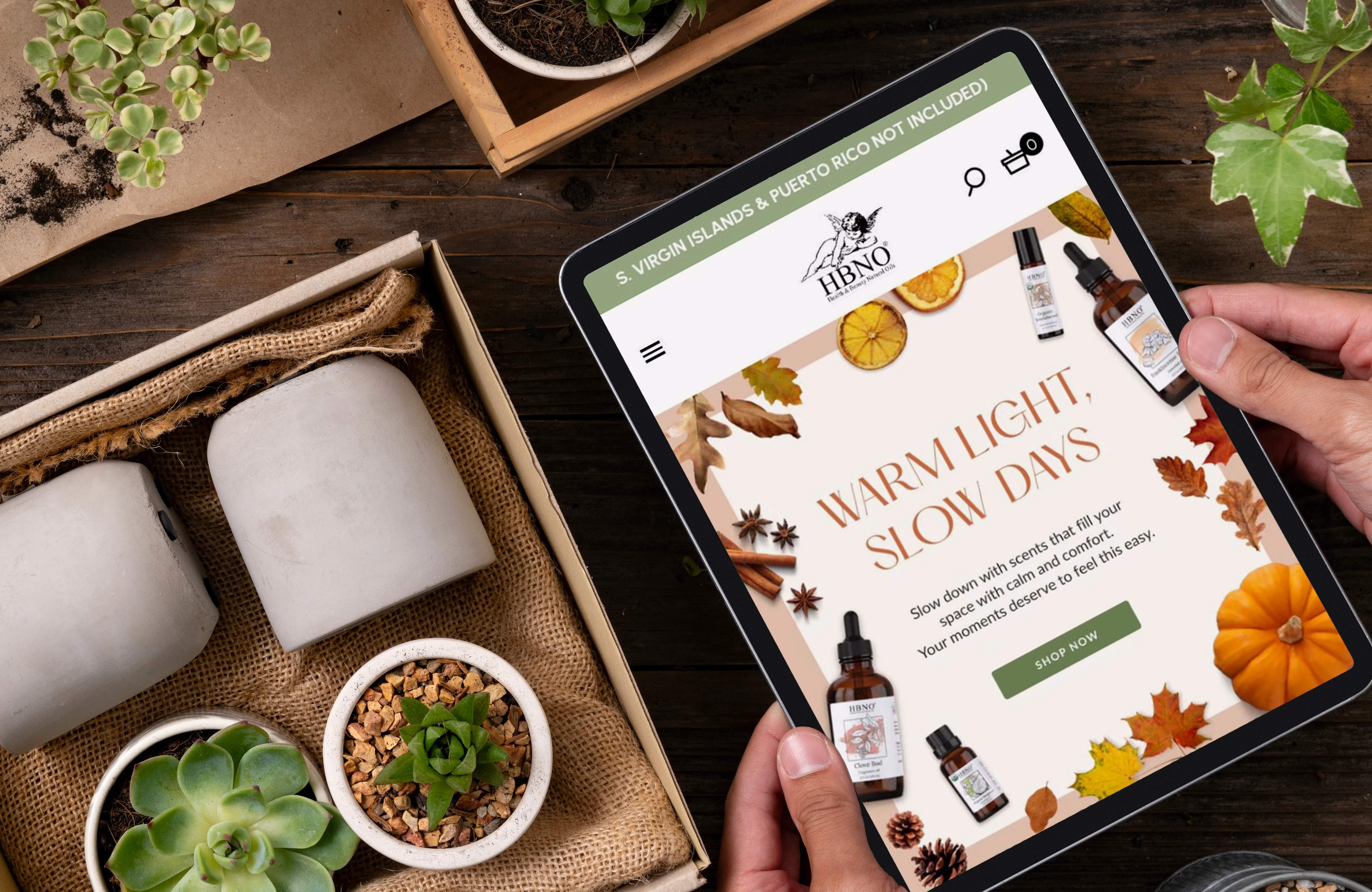 HBNO - Transforming a Traditional Essential Oils Manufacturer into a Leading E-commerce Powerhouse